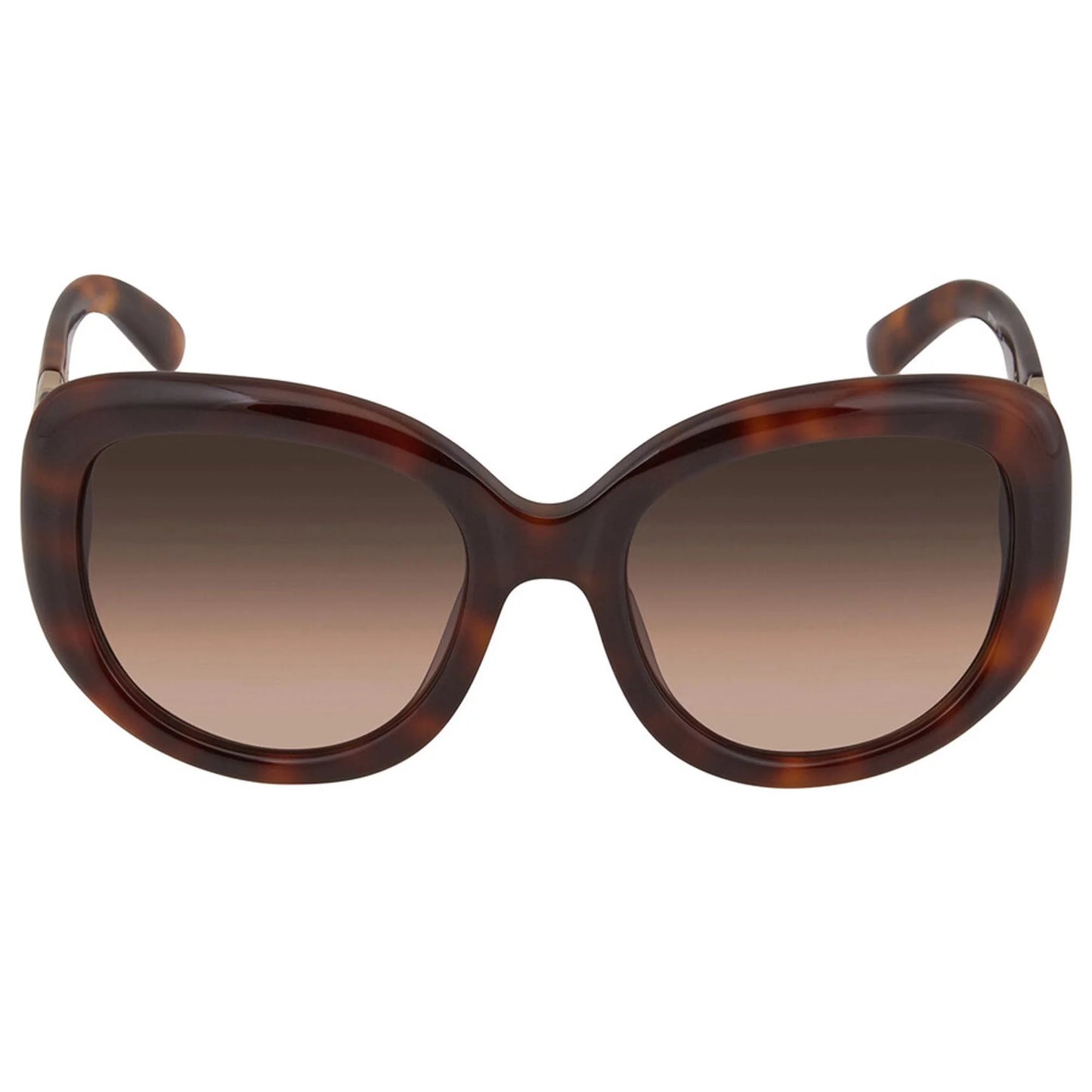 Salvatore Ferragamo SF727S 214 Square Full Rim Sunglasses for Womens